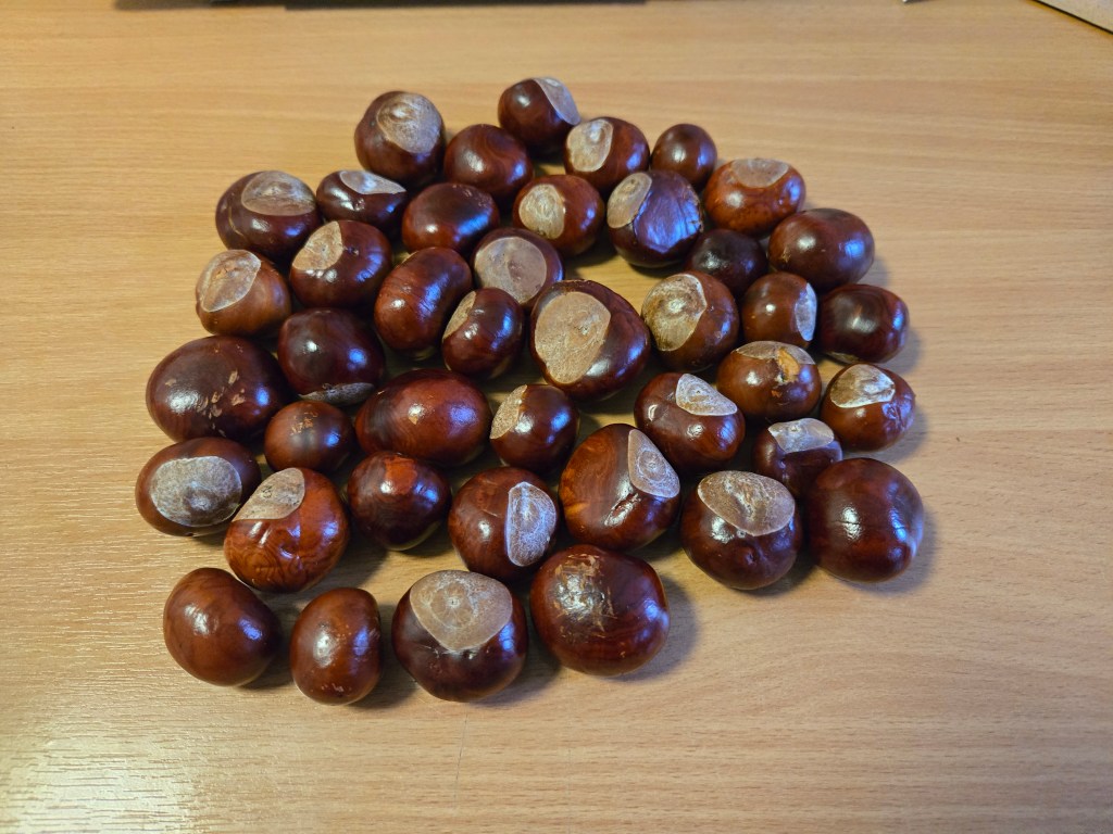 Conker Day