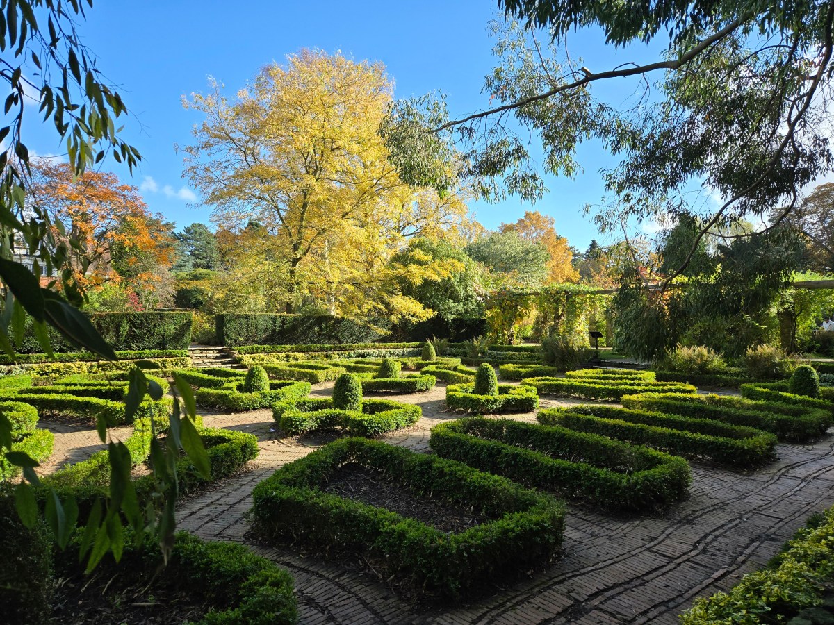 The Botanical Garden