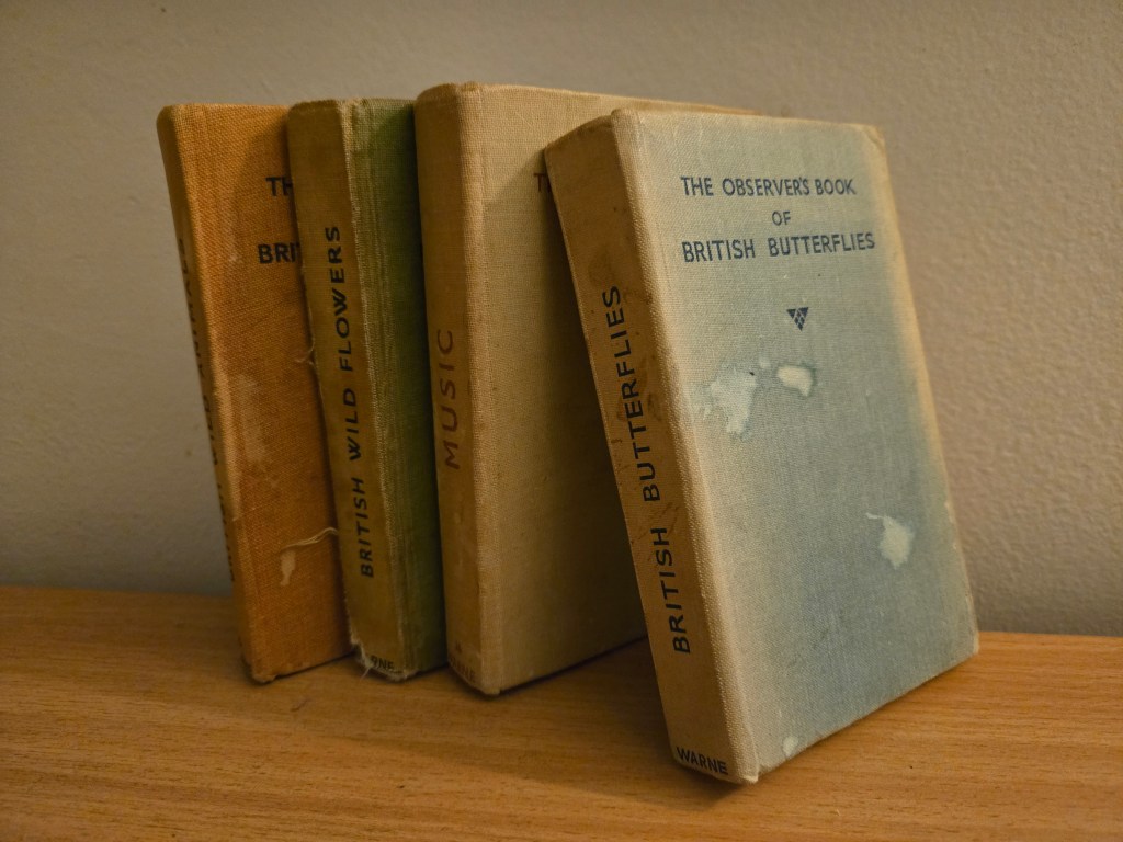 The Start of Something&nbsp;New