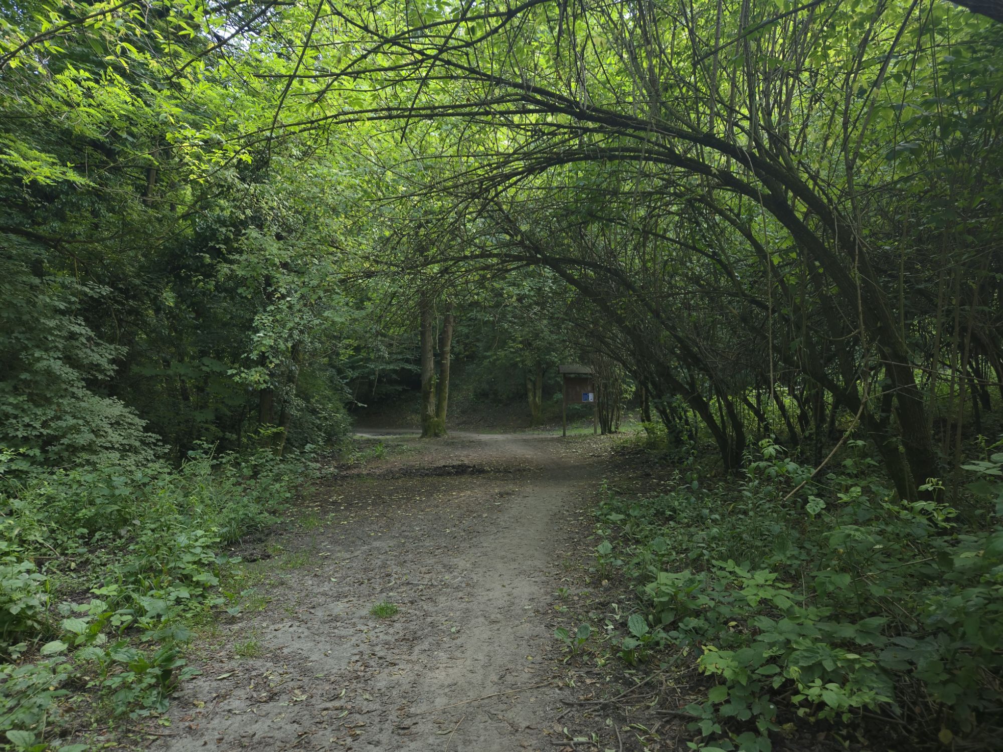 To the Top of the Hill