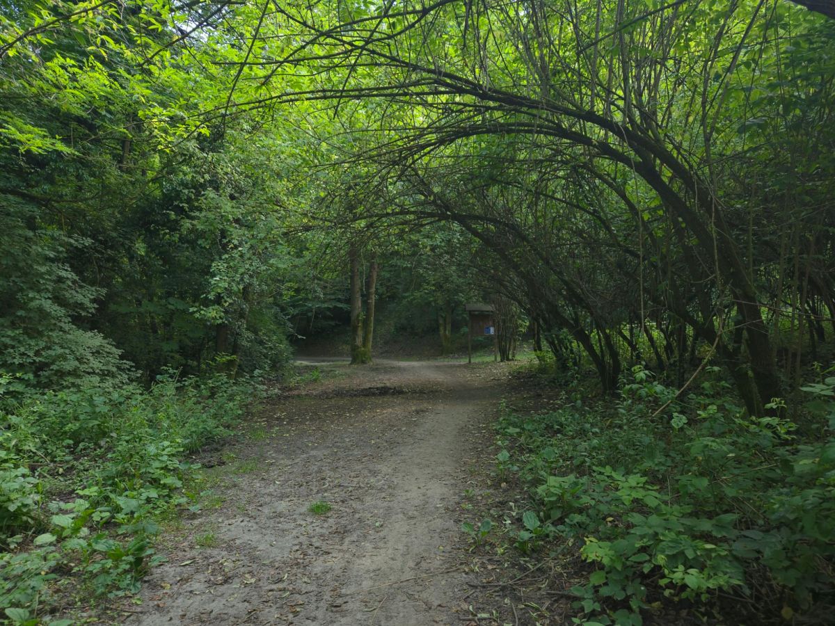 To the Top of the&nbsp;Hill