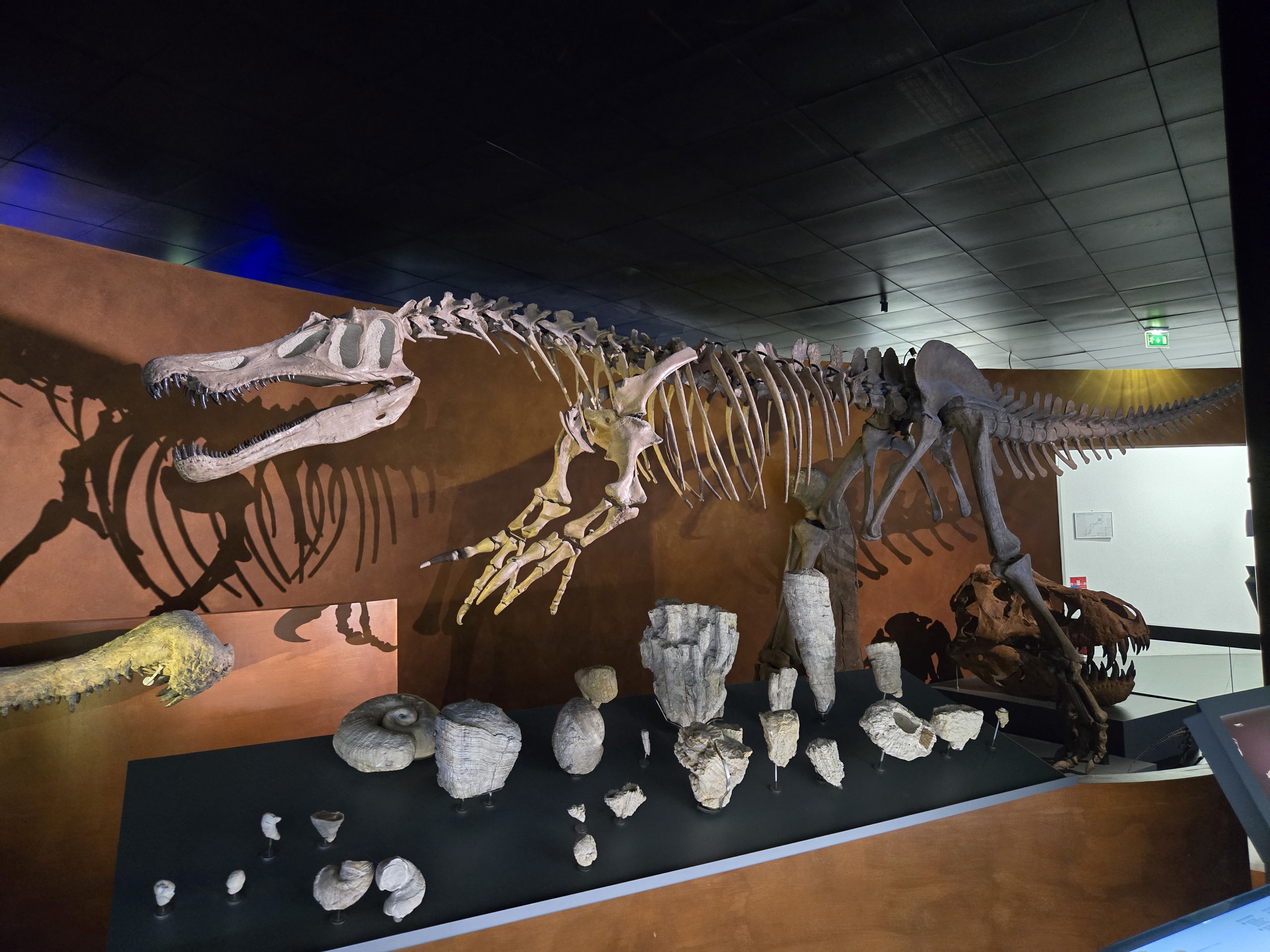 Le Musée de Toulouse