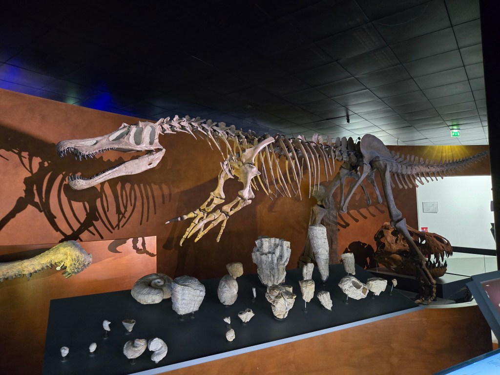 Le Musée de&nbsp;Toulouse